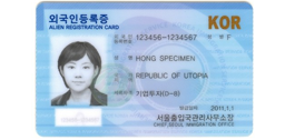 South Korean Resident Registration Number (RRN) and name Generator