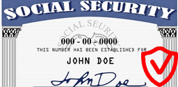 Validate US Social Security number